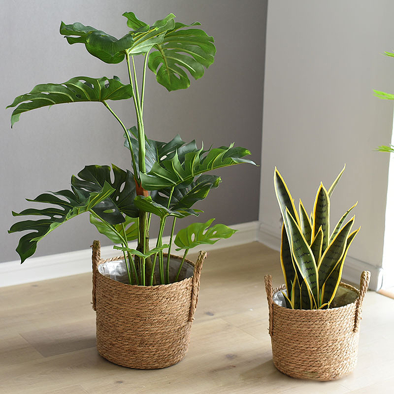 Les jardinières à poignée en r - Rattan Tray Handle avis et prix